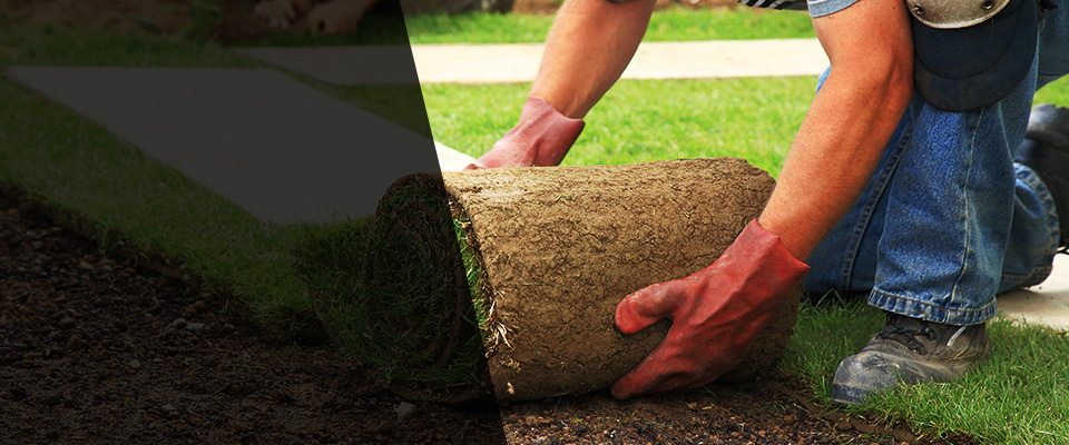 Nanty Glo Landscapers